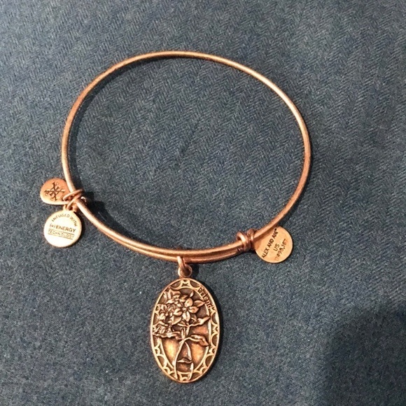 😎Alex and Ani bracelet - Picture 1 of 2